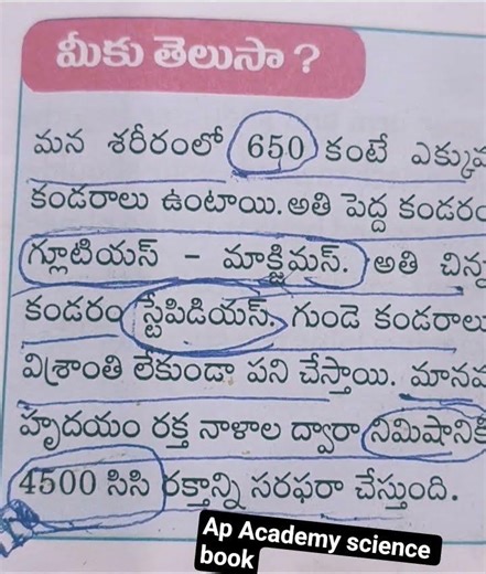 Ap Dsc & Tet # 6th class science Semester -2 # కదలిక -చలనం #academy book# importent points# shorts