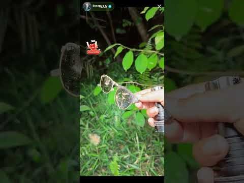 puaka bukit bunian 1 part 1/3 paranormal booswan & team