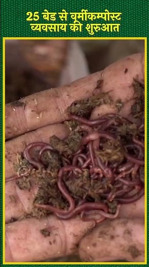 Uttarakhand के ताहिर हसन ने कैसे शुरू किया 25 बेड से Vermicompost Business? #shorts