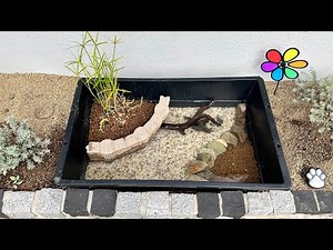 簡単ビオトープ作り【トロ舟60】