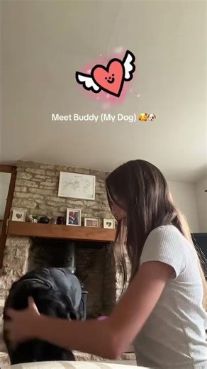 Buddy!!! x #dog #labrador #pointer #mixbreed #pet