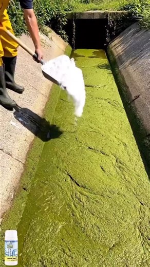 Engineering Inventions on Instagram: "🔗 Link in bio @engineering.invention 🔗 Clogged sink? Slow drain? Say goodbye to stubborn buildup 💥 Our Powerful Sink & Drain Cleaner Powder works fast to break through grease, hair, and grime—no plumber needed. Clean drains. Fresh flow. Zero stress. 🔗 Link in bio @engineering.invention 🔗 Visit 👉 https://futuristicfinds.co For "powerful sink and drain cleaner powder""