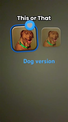 Dog version 🐕 🐶