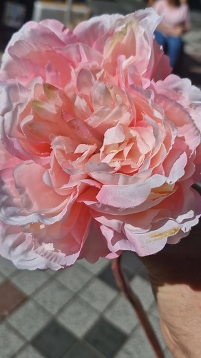 Slowly making new magical wands again. 🌹🪄 Any special requests... Let me know in the comments! 🧙‍♂️ Wizard 🧙‍♀️ Witch 🧚‍♀️ Fairy 🩷❤️💜💛💚💙🖤🧡🩶⚡️ | Sparkle & Spell Co.