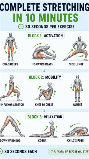 🧘‍♂️ Complete Body Stretching In 10 Minutes Morning 🌄 #yoga #morningyoga #stretching