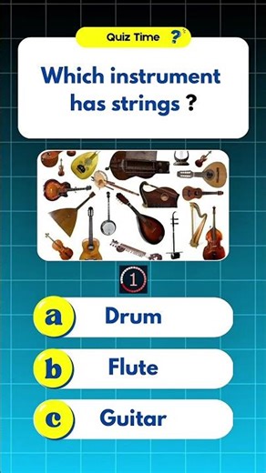 This Trivia Quiz Will Test Your Brain! 🧠