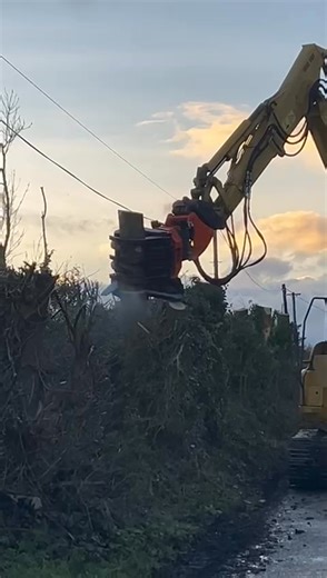 53K views · 239 reactions | New intermercato grapple saw in action. | O Malley Plant & Agri | Facebook