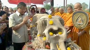 Video. Thailand celebrates Elephant Day