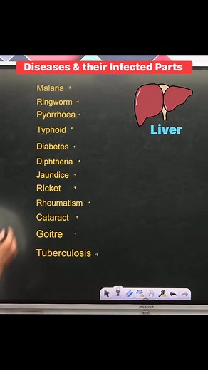 142K views · 2.4K reactions |  Diseases & their Infected Parts 贈樂 !! #diseases #infectedparts #biology #sciencefacts #education #knowledge #study #exams #NEET #upsc #knowledgeispower #gkquiz #BiologyNotes #facebookreelsviral #facebookreelsvideo #fbreelsviral #facebookreels #reelsfb #reelsviral #fbreelsvideo #reelsviralfb | Krishna Thakur | Facebook