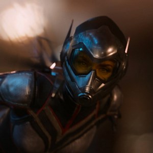 35K views · 928 reactions | The buzz has never been bigger. Marvel Studios' "Ant-Man and The Wasp" is the #1 movie in the world. Have you seen it yet? https://www.fandango.com/AntManAndTheWasp | Ant-Man | Facebook