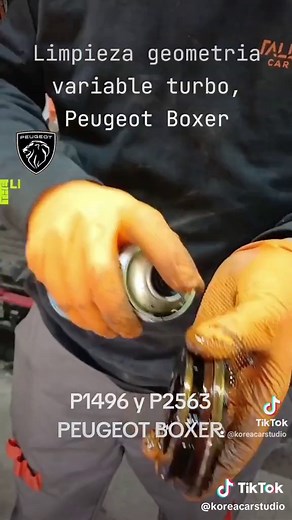 TikTok - Make Your Day