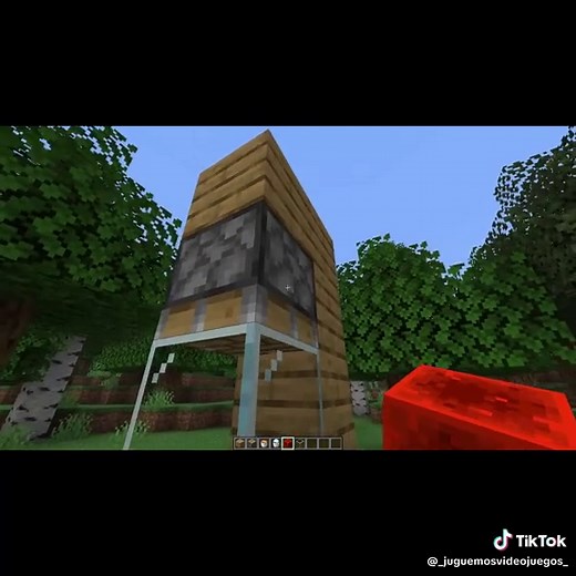 Cómo No Funciona el X-ray en Minecraft