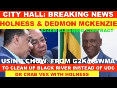 CITY HALL:HOLNESS & DEDMOND MCKENZIE USING CHOW FROMG2K/NSWMA INSTEAD OF UDC TO CLEAN $240M B RIVER