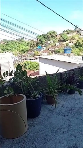 27 de março de 2026