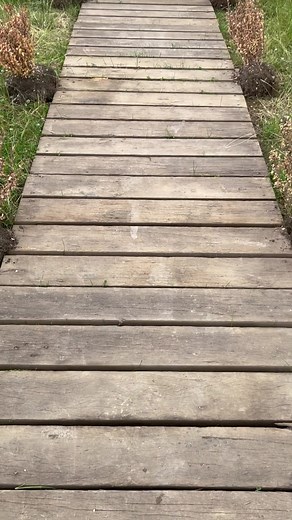 3K views · 23 reactions | Grandma’s House is the place to be !! open until 2am every night at Barn 23 as part of our expanded late-night party  | Barn on the Farm Festival | Facebook