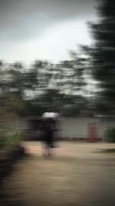 ❤🫶🏼🐴🐎 | Hicham Tgv