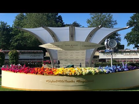 Parade Ring 360° Camera