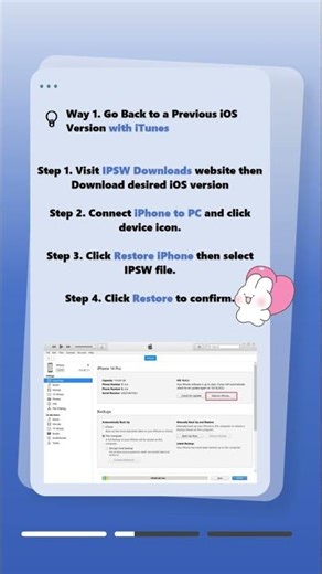 Downgrade iOS 26 to a Previous Version — What You Need to Know