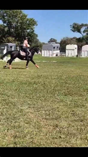 Archie today in our lesson before berry tomorrow who will i see there?? #eventersdoitbetter #fyp #fypシ゚viral #fy #gelding #fypシ #showjumpinghorse #showhorse #ridingpony #arabcross