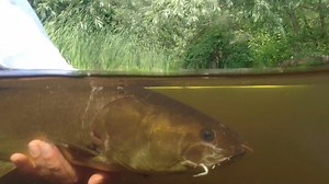 1.7K views · 55 reactions | Now that you know all about our Ancient...