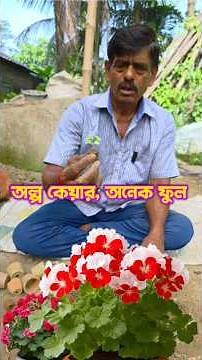 এভাবেই ফুল বাড়ে#minivlog #vlog#viralvideo #reels #bengali