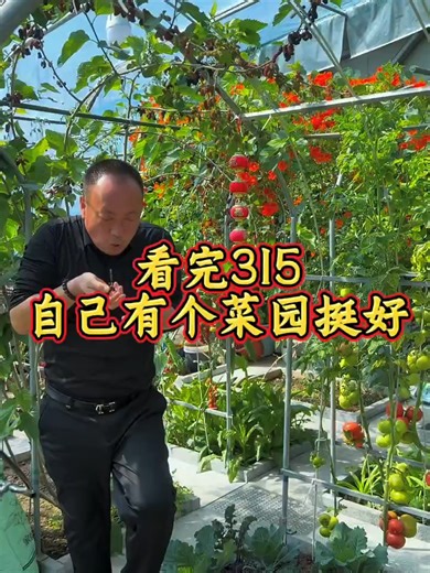 After watching 315 (Consumer Rights Day), I think it's better to just have my own vegetable garden, raise chickens, and grow vegetables! 🌱 #PlantLover🌿 #HomeGarden🪴 #IndoorPlants🌻 #GardeningLife🌾 #GreenThumb🌵 #PlantParent🍃 #UrbanJungle🌸 #GrowWithMe🌼 #PlantCare🌞 #GardenVibes🌳 #NatureLover🌺 #PlantAesthetic🌷 #EasyGardening💧 #WaterYourPlants🌍 #SustainableLiving