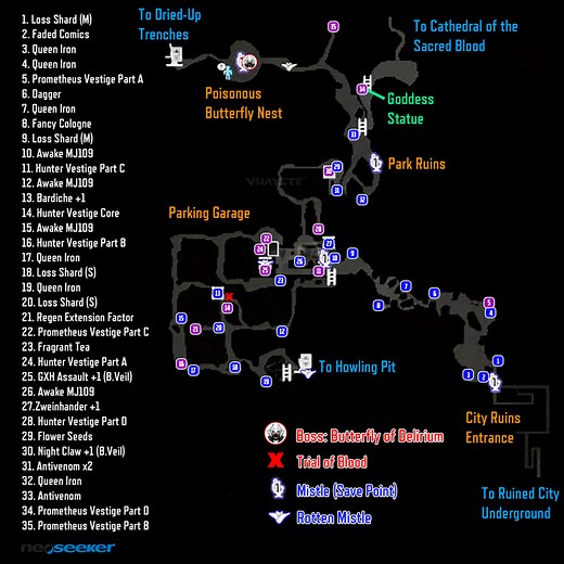 Ruined City Center - Code Vein Walkthrough