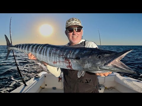 A $700,000 Boat, Giant Live Bait, Big Wahoo and Really Fast Flying Quail (Catch & Cook)