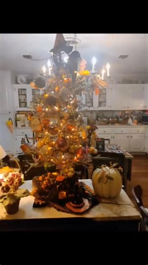 Elizabeth Perry on Reels