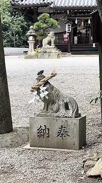 【驚異的パワー】八代龍王様が凄かった！※八尾市 玉祖神社｜A shrine with amazing power spots