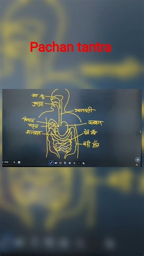 how to draw human digestive system diagram#shorts #youtubeshort #trendingshorts 2026