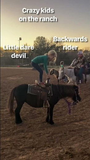 Crazy Cowgirls: trick riding on the ranch