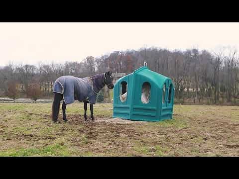 Boyd Martin video - YouTube