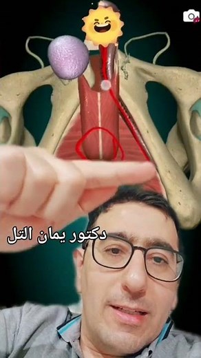 اين يتم زراعة دعامة الانتصاب | تركيب دعامة القضيب | د.يمان التل