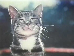Purina Cat Chow Commercial - 1970s