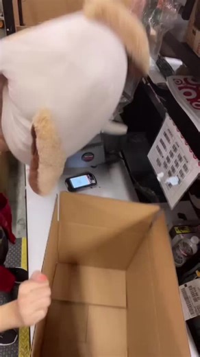 5 Reasons to Work in Packing Jobs – Practical Benefits Explained