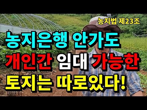 개인간 임대가능 농지? 꼭 농지은행 안가도 됩니다 / 농지은행