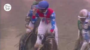 114K views · 143 reactions |  HAPPY BIRTHDAY JERRY BAILEY   HOF jockey 磊 5,893 race wins 1️⃣5️⃣ x Breeders Cup winner  NBC Sports analyst Jerry rode some incredible winners. Enjoy three of his best, including one for Godolphin at Royal Ascot  | World Horse Racing | Facebook