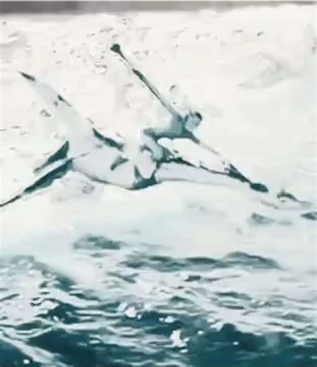 Pandora: The Avatar Experience