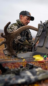 Hard choice? Let us know 💬 #HuntinFool #BuiltToHunt #Caribou #Hunting #Alaska | Huntin' Fool