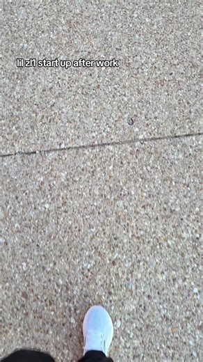 Choosing Red Over White: A Camaro ZL1 Perspective