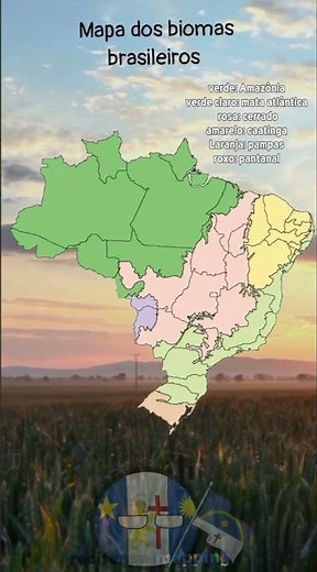 mapa dos biomas brasileiros #brasil #geografia #mapping #estadosbrasileiros