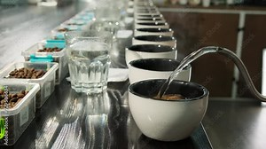 Making coffee samples for upcoming degustation. Barista pours water into cups with concentrated espresso served with glasses of clear water