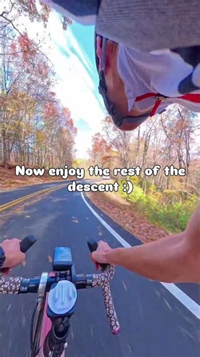 My dog luck on bike rides continue...