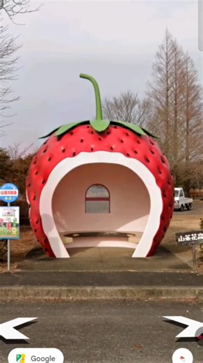 strawberry room on Google Earth 🌍🌍#shorts