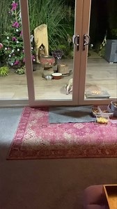 22K views · 5.1K reactions | So this is the nearest I’ve gotten to Mr Lumpy in weeks and it was very brief, you can hear the disappointment in my voice! Winter survival mode has definitely kicked in, always in a rush and on high alert as this is the time when most of the fighting occurs due to pregnancy and mating ❤️ Normal service will resume by March  | Mr Lumpy & Friends. | Facebook