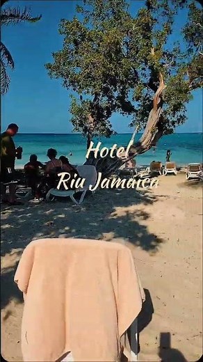 Así es el Hotel Riu Ocho Ríos Jamaica por dentro 😍🌴