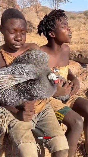 How did birds become the tribals' weapon for hunting? #TribalLife #JungleSecrets #HuntingTricks #...