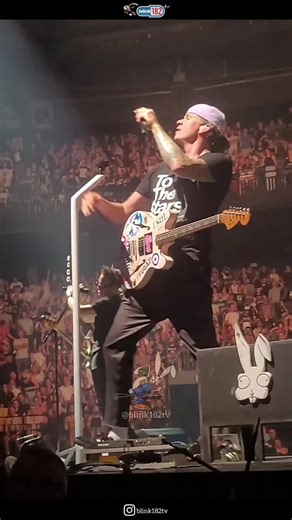 Blink-182 First Date Live Performance in Belgium