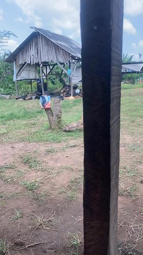 3.7K views · 30 reactions | A short video of my Tinjo @work. Tinjo charge 30,000 daily for my production. The work might look simple but very difficult. She will stand close to the fi.r from morning tonight | Fastest Ponmo | Facebook